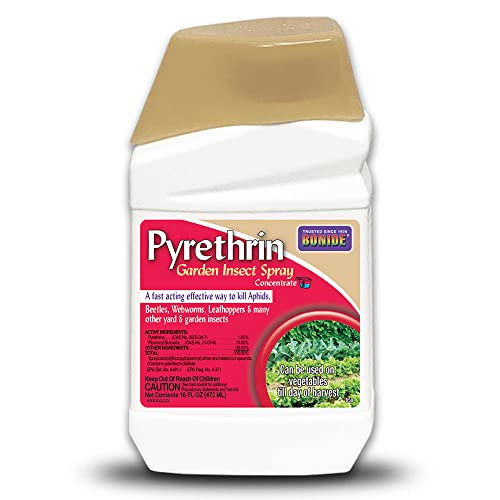 Bonide Pyrethrin Garden Insect Spray Concentrate, 16 oz