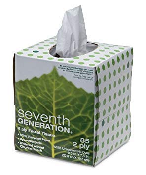 100% Recycled Facial Tissue, 2-Ply, White, 85 Sheets per Box (36 Boxes)
