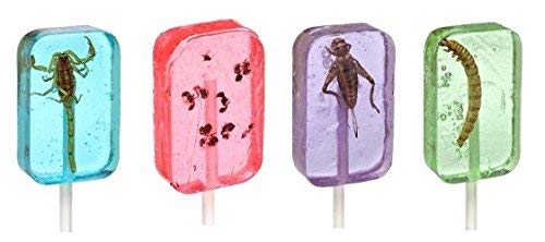 Hotlix Insect Lollipops, Assorted (Scorpion, Ants, Cricket & Worm)