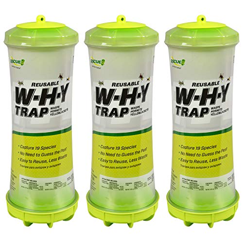 Rescue WHY Trap for Wasps, Hornets & Yellowjackets, Hanging Outdoor (Pack of 3)