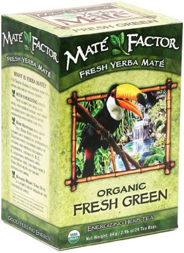 The Mate Factor Organic Fresh Green Yerba Mate Tea Bags, 24 Count (Pack of 3)