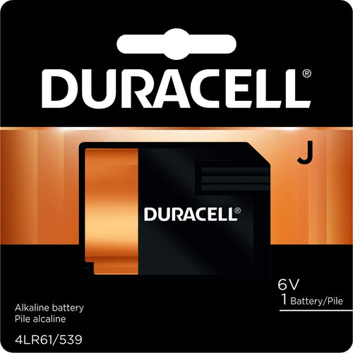 Duracell AAAA 1.5V Specialty Alkaline Batteries, 2 Count