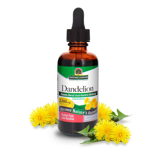 Nature's Answer Dandelion Root Extract, 2 fl oz