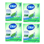 Dial Mountain Fresh Antibacterial Deodorant Bar Soap, 4 oz, 3 Bars (Pack of 4)