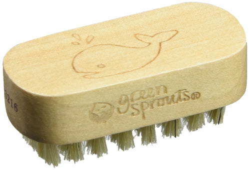 Nail Brush