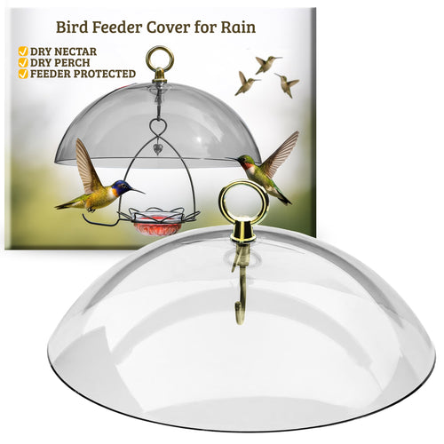 Birds Choice Bird Feeder Dome with Hanger, Clear, 10.5 in