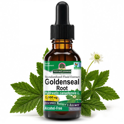 Nature's Answer Goldenseal Root Herbal Supplement, 1 fl oz