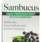 Nature's Answer Alcohol-Free Sambucus Black Elder Berry Extract, 8 fl oz