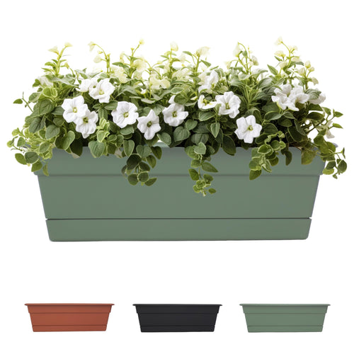Bloem Dura Cotta 18 in Plastic Window Box Planter with Saucer, Basil