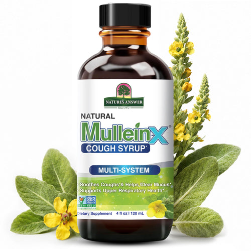Nature's Answer Mullein-X Multi System Cough Syrup, 4 oz