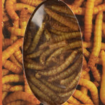 Larvets BBQ Flavored Edible Worms