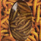 Larvets BBQ Flavored Edible Worms