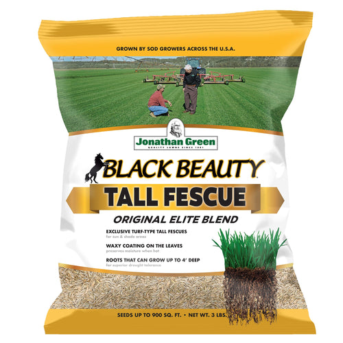 Jonathan Green Black Beauty Tall Fescue Grass Seed Blend, 3 lb