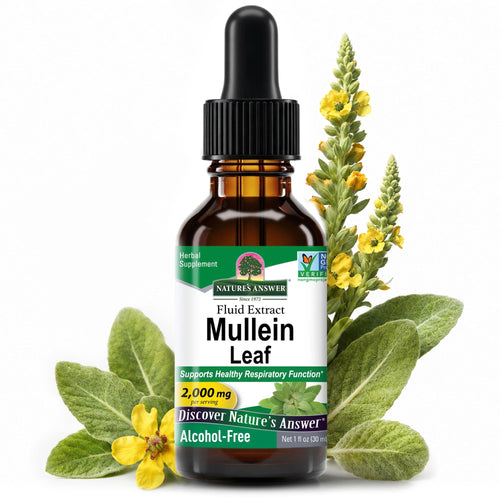 Nature's Answer Mullein Leaf Herbal Supplement, 1 oz