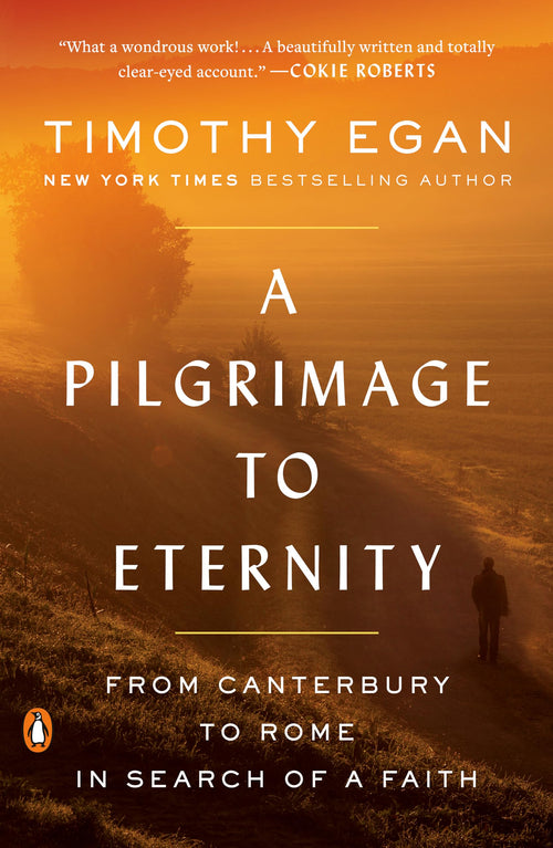 A Pilgrimage to Eternity: From Canterbury to Rome in Search of a Faith (Paperback)