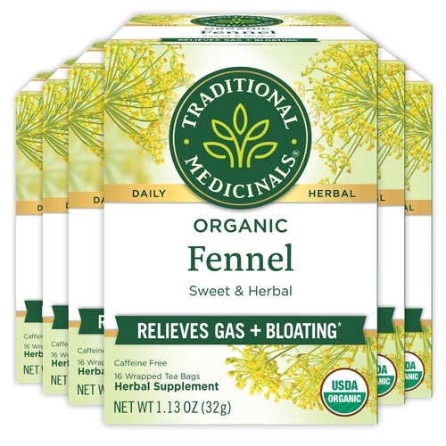 Traditional Medicinals Organic Fennel Tea, 16 Tea Bags (Pack of 6)