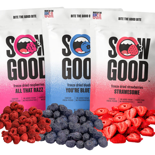 Berry Lovers Freeze Dried Fruit Snack Bundle, Strawberry Blueberry Raspberry (Pack of 3)