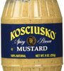 Spicy Brown Mustard_PARENT