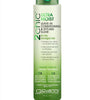 GIOVANNI 2chic Ultra-Moist Leave-In Conditioning Styling Elixir - Smoothes Frizz Prevents Breakage, For Dry & Damaged Hair, Avocado & Olive Oil, Enriched with Aloe Vera, Shea Butter - 4 fl oz