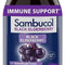 Sambucol Black Elderberry Syrup, 16.9 fl oz